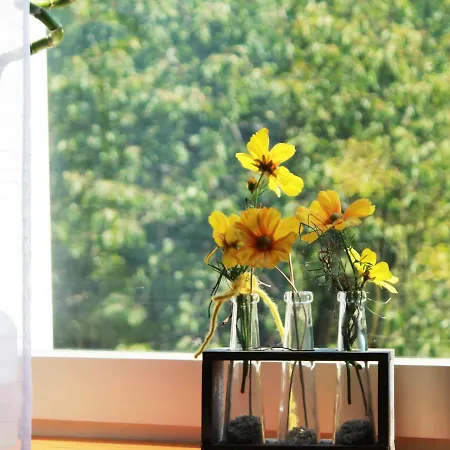 Niggemann Apartment *